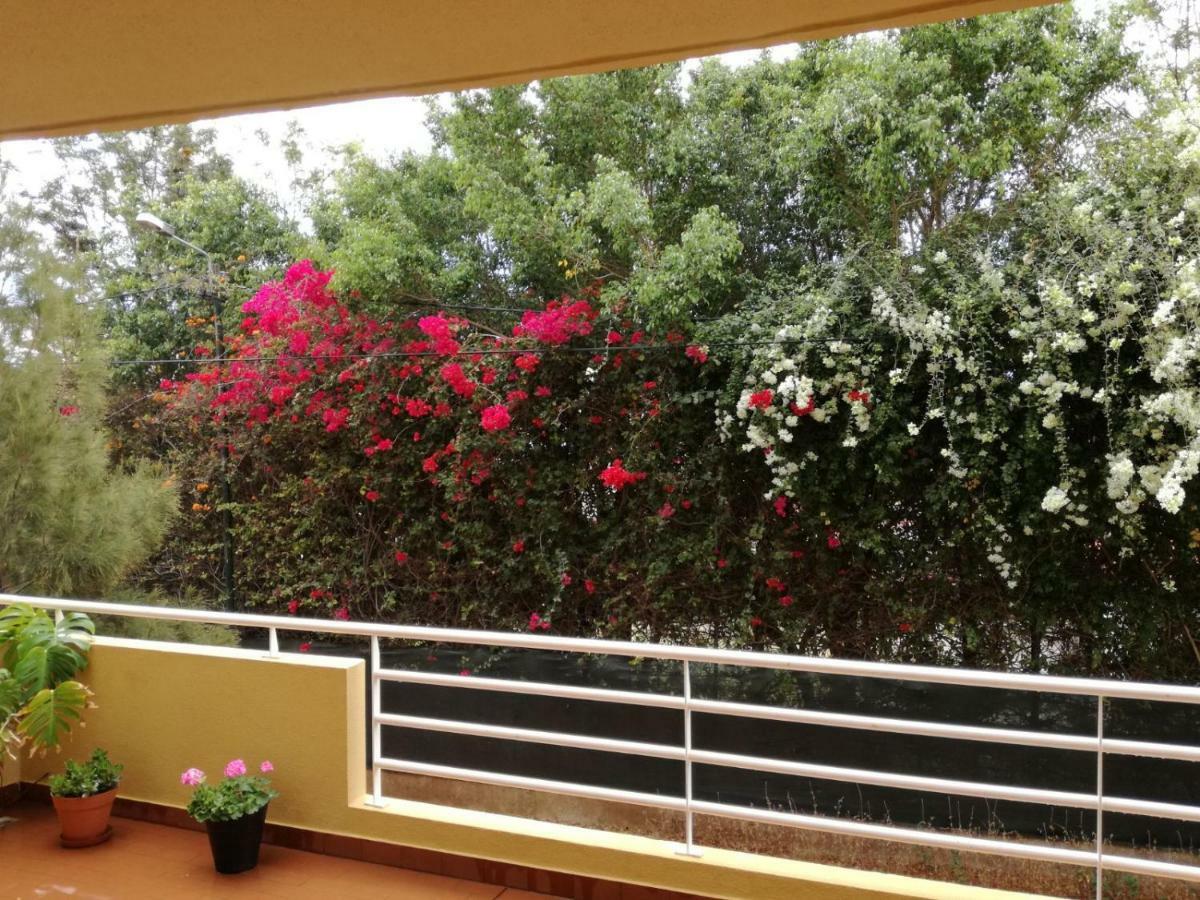 شقة Refugio Madeira كانيكو المظهر الخارجي الصورة